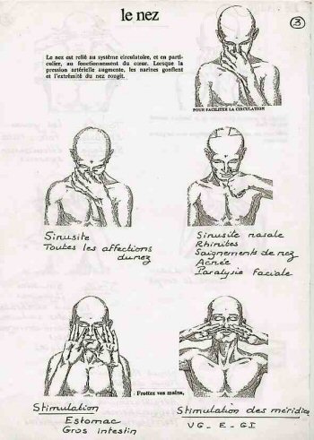 nez